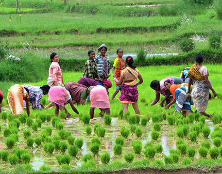 Agriculture