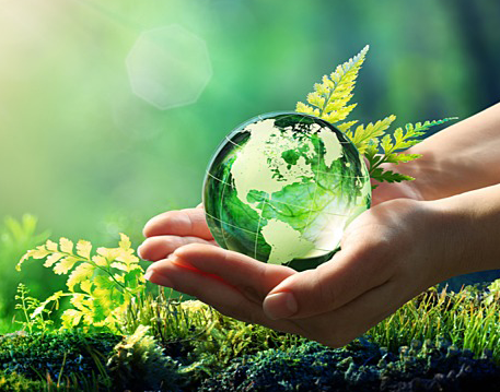 Environment